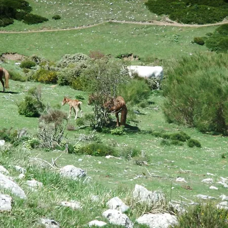 La Hornera De Bernardo 3* Ventanilla