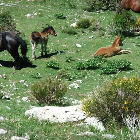 La Hornera De Bernardo Hotel Ventanilla