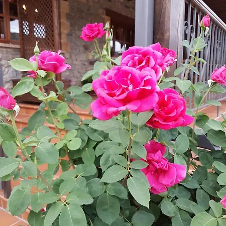 La Hornera De Bernardo Hotel