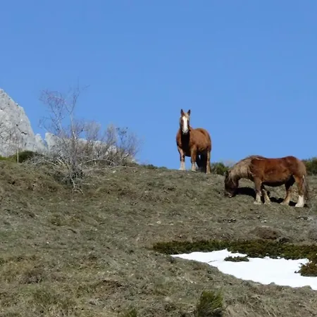 Hotel La Hornera De Bernardo 3*