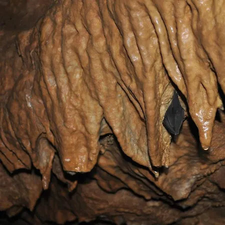 Hotel La Hornera De Bernardo 3*