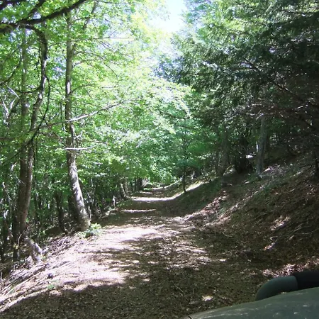 La Hornera De Bernardo 3*