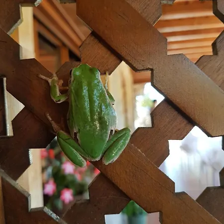 Hotel La Hornera De Bernardo