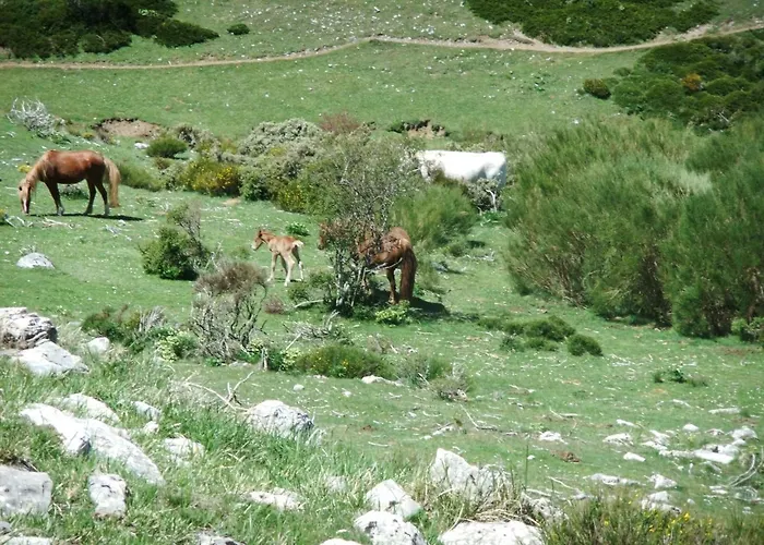 La Hornera De Bernardo 3* Ventanilla