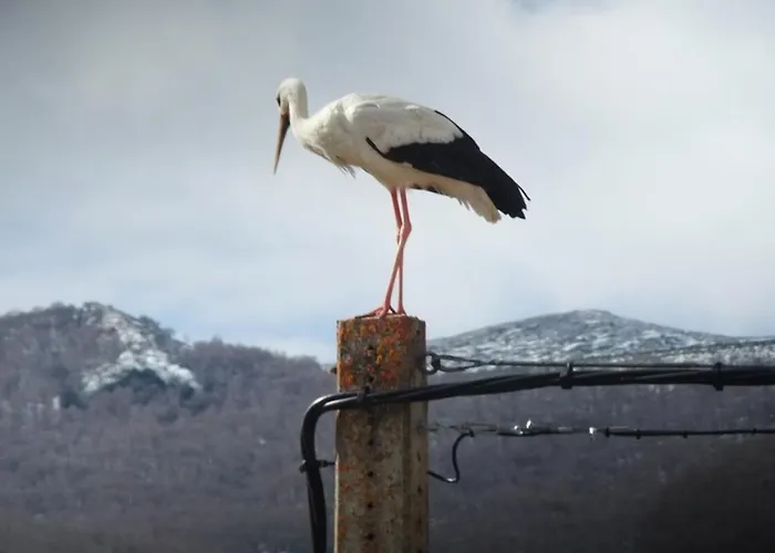 La Hornera De Bernardo Hotel Ventanilla