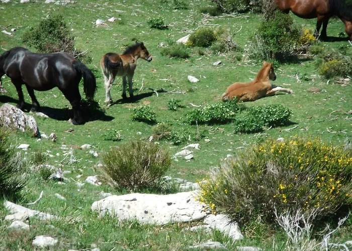 La Hornera De Bernardo Hotel Ventanilla