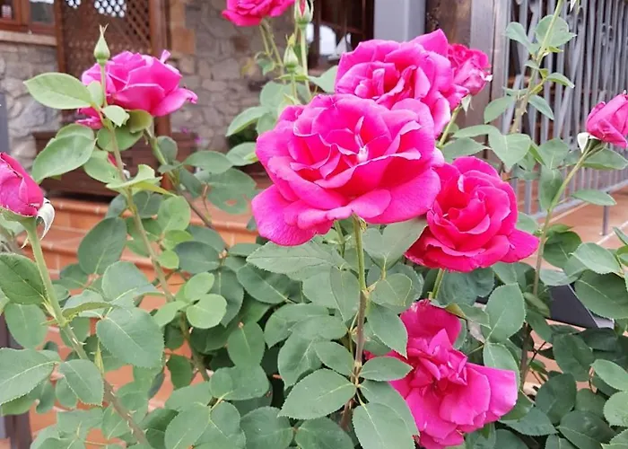 La Hornera De Bernardo Hotel