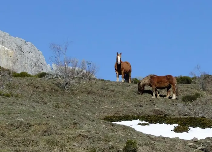 Hotel La Hornera De Bernardo 3*