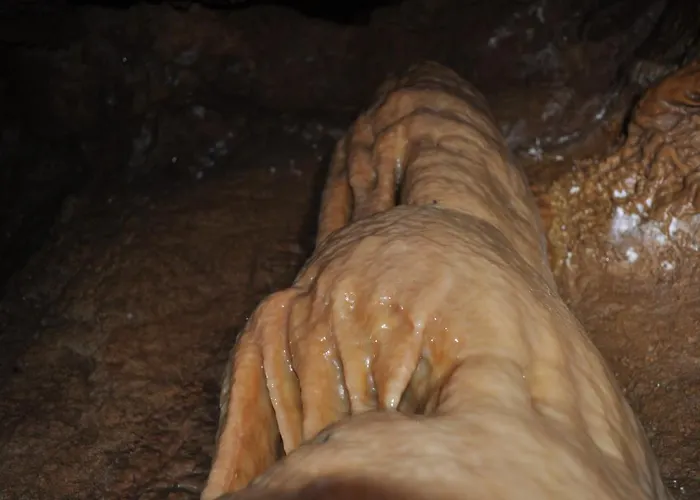 Hotel La Hornera De Bernardo Ventanilla