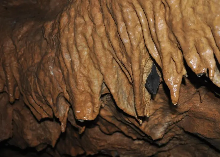 Hotel La Hornera De Bernardo 3*