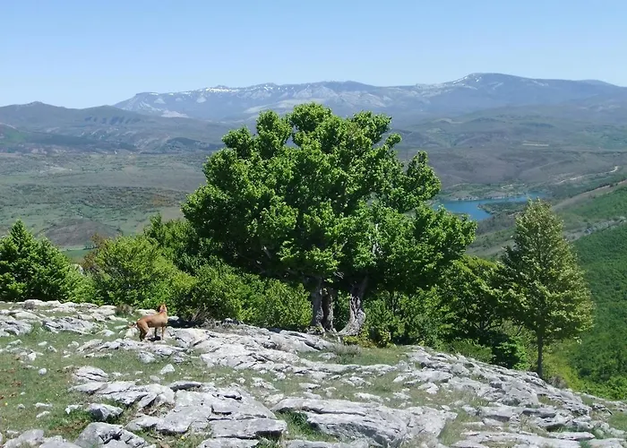 Hotel La Hornera De Bernardo Ventanilla