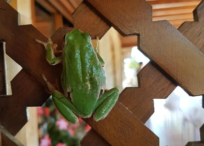 Hotel La Hornera De Bernardo