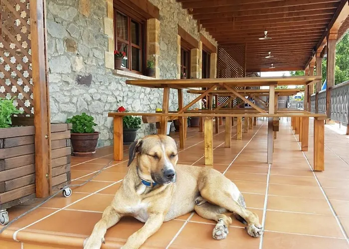 La Hornera De Bernardo