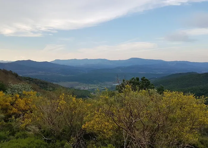 La Hornera De Bernardo Ventanilla